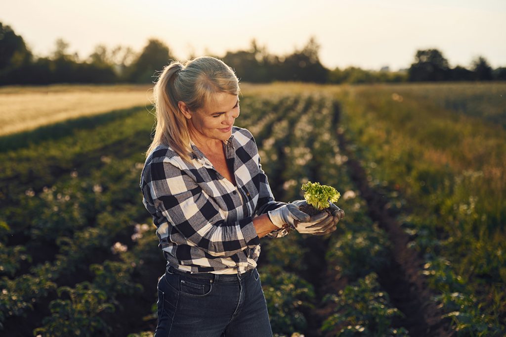Opština Ljubovija je u novembru 2023. godine raspisala Konkurs za dodelu podsticaja po programu mera podrške za sprovođenje poljoprivredne politike i politike ruralnog razvoja opštine Ljubovija.