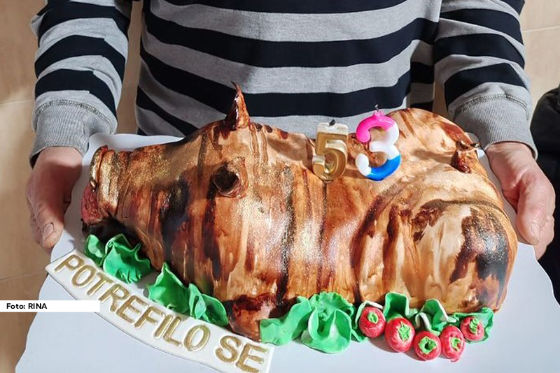 Torta u obliku praseta bila je pravo iznenađenje za njegov rođendan ali je s obzirom na posao koji radi sasvim opravdana.