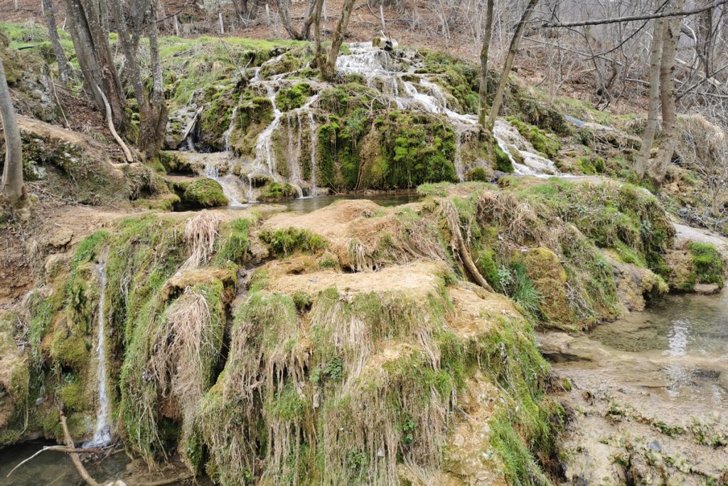 17103347671619189734valjevo taroska vrela fotorina7