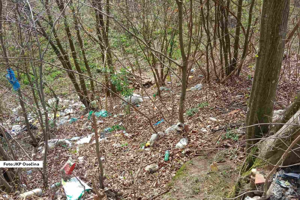 I ove godine JKP "Osečina" u skladu sa svojim planom i finansijskim sredstvima vrši čišćenje i uklanjanje određenog broja divljih deponija. Opština Osečina se sastoji iz dve varošice u kojima se vrši organizovano sakupljanje, odvoz i deponovanje otpada, i od 18 sela u kojima se delimično prikuplja i odvozi otpad.