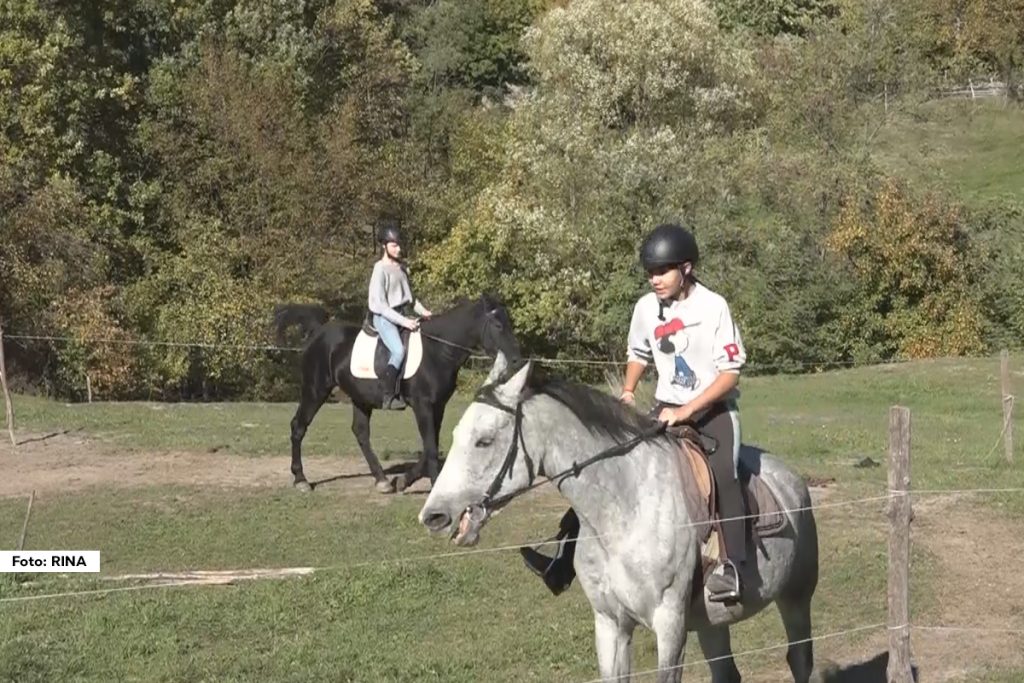 Od malih nogu zaljubljena je u konje, a sada je ljubav prema ovim plemenitim životinjama odlučila nesebično da prenese i na druge. Ema Božanić iz Gornjeg Milanovca ima samo 17 godina i već je započela svoj “biznis”.