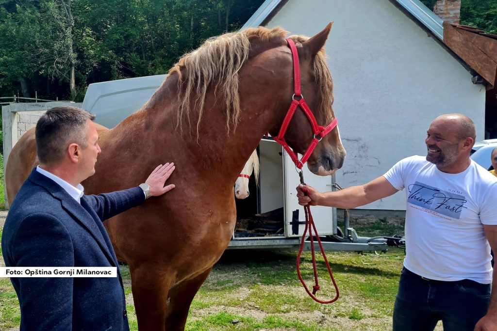 Da samo sloga kuću gradi od davnina su govorili naši preci, a da je to zaista tako pokazuje i primer porodice Mijailović iz sela Boljkovci kod Gornjeg Milanovca. Vredni i pošteni, svojim teškim radom sve su stekli i čak ni u teškim vremenima nisu odustali od stočarstva. Njihove štale su pune, a svi članovi ove brojne porodice pomažu u poslovima na imanju, kojih kako selo nažalaže ima od jutra do mraka.