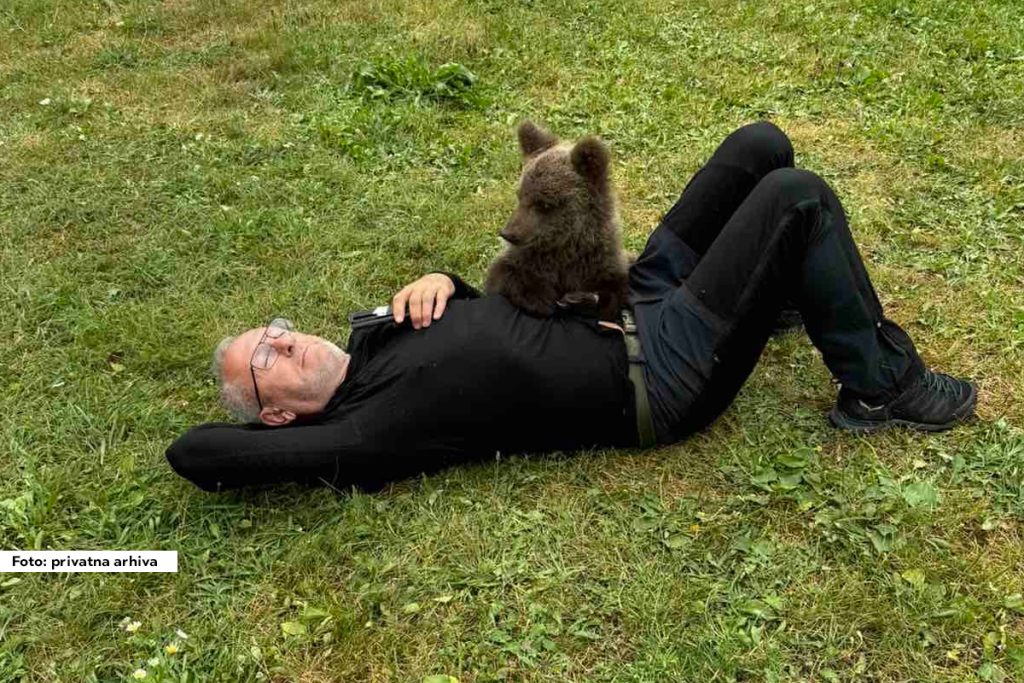 Poznati speleolog Mile Vuković iz Bijelog Polja sasvim slučajno je dok je šetao kroz prirodu sa drugarima u reonu Barica, u jednoj od dubokih jama pronašao meče. Ovaj hrabri čovek nije časio časa, već je kao iskusni speleolog pod punom opremom i uz pomoć užeta spustio se u jamu duboku preko deset metara i uplašenu životinju izvukao na sigurno.