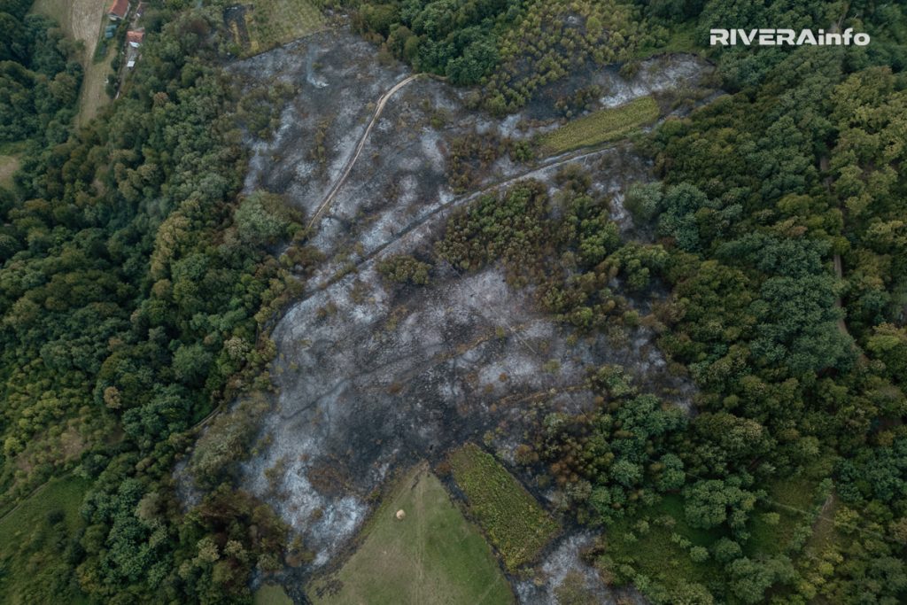 13.08.2024. pozar u Uzovnici 11