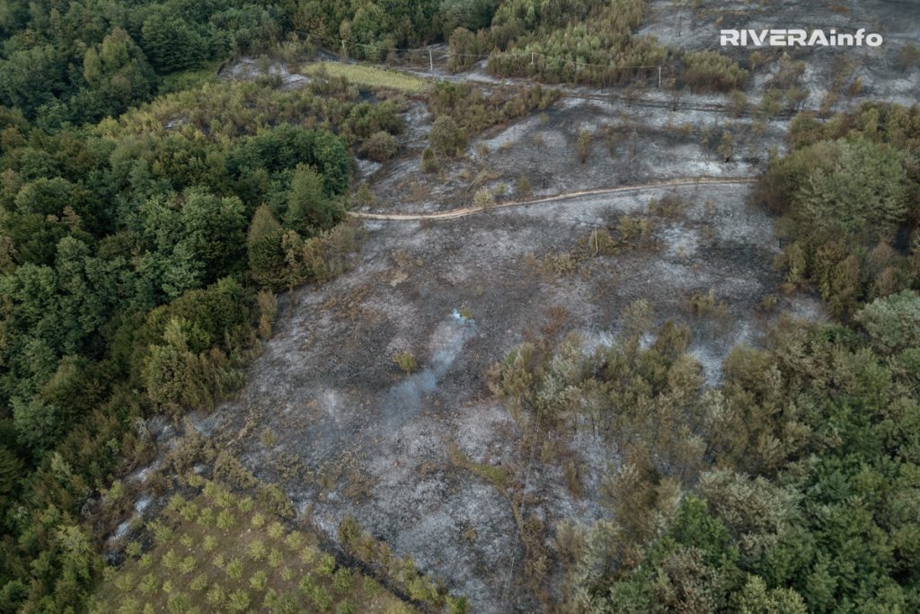 13.08.2024. pozar u Uzovnici 7