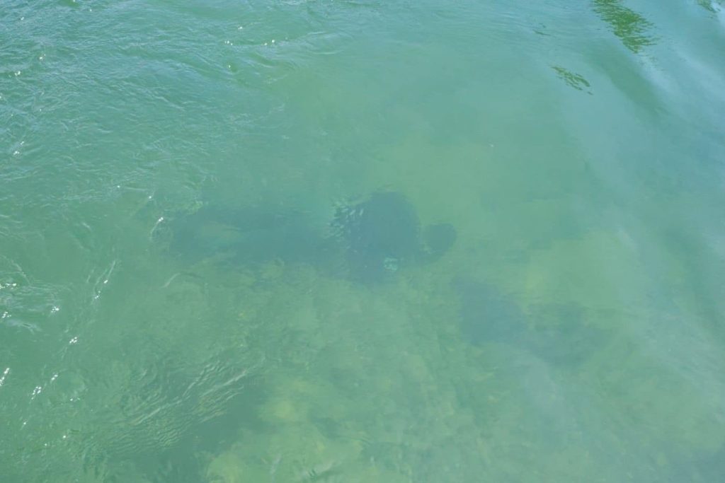 24.08.2024. Migranti camac 2