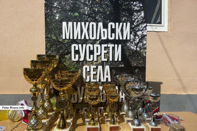 Miholjski susreti sela, manifestacija koja promoviše tradiciju srpskih sela ove godine je održana u selu Crnča kod Ljubovije. Pokrovitelj manifestacije bilo je Ministarstvo za brigu o selu, dok je organizator bila opština Ljubovija.