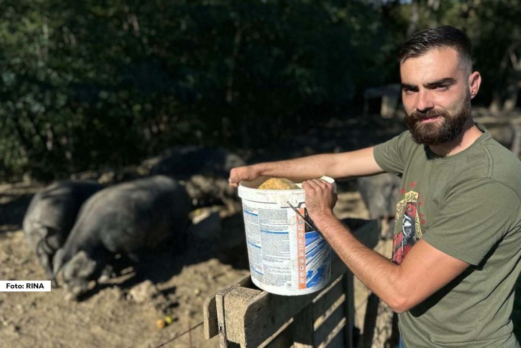Đorđe Isailović, nekadašnji fudbaler, napustio je hladnu Norvešku i vratio se u Šumadiju, gde se posvetio uzgoju svinja. Njegova ljubav prema selu i tradiciji dovela ga je do titule najboljeg mladog poljoprivrednika Srbije