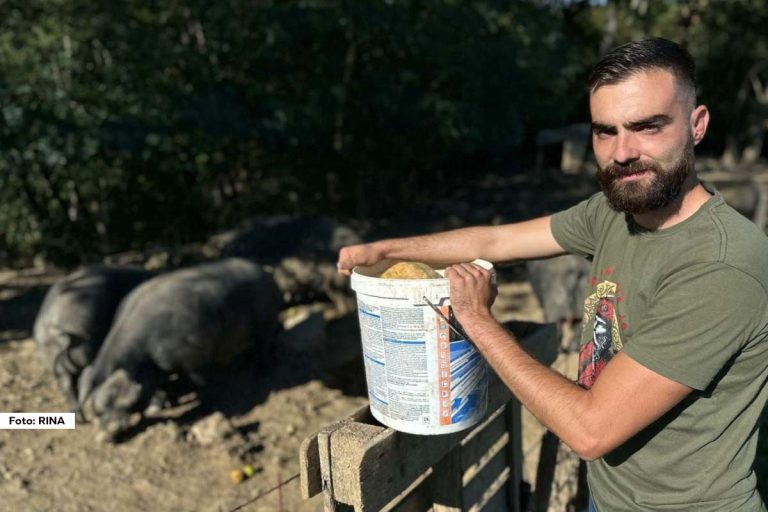 Đorđe Isailović, nekadašnji fudbaler, napustio je hladnu Norvešku i vratio se u Šumadiju, gde se posvetio uzgoju svinja. Njegova ljubav prema selu i tradiciji dovela ga je do titule najboljeg mladog poljoprivrednika Srbije
