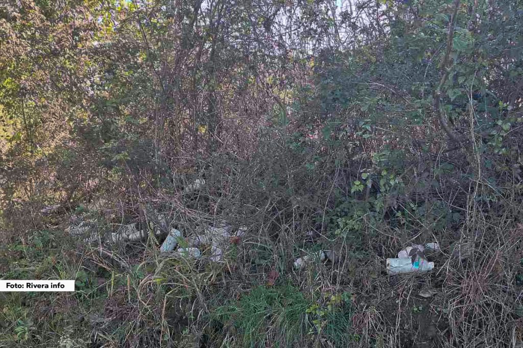 U toku prethodna dva meseca u opštini Osečina sprovedena je akcija sakupljanja ambalažnog otpada od pesticida. Akciju je sprovelo JKP „Osečina“ u saradnji sa inspekcijskom službom opštine i građanima. Građani su u proteklom periodu obaveštavani na koji način da sakupljaju ambalažu. Akcija je sprovođena u proleće nakon prvih tretiranja biljaka, a nastavljena je i u jesen.