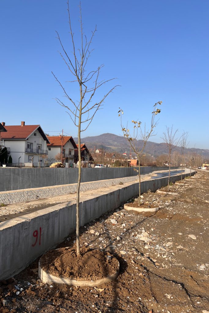 ozelenjavanje javnih povrsina u Ljuboviji Rivera info 05