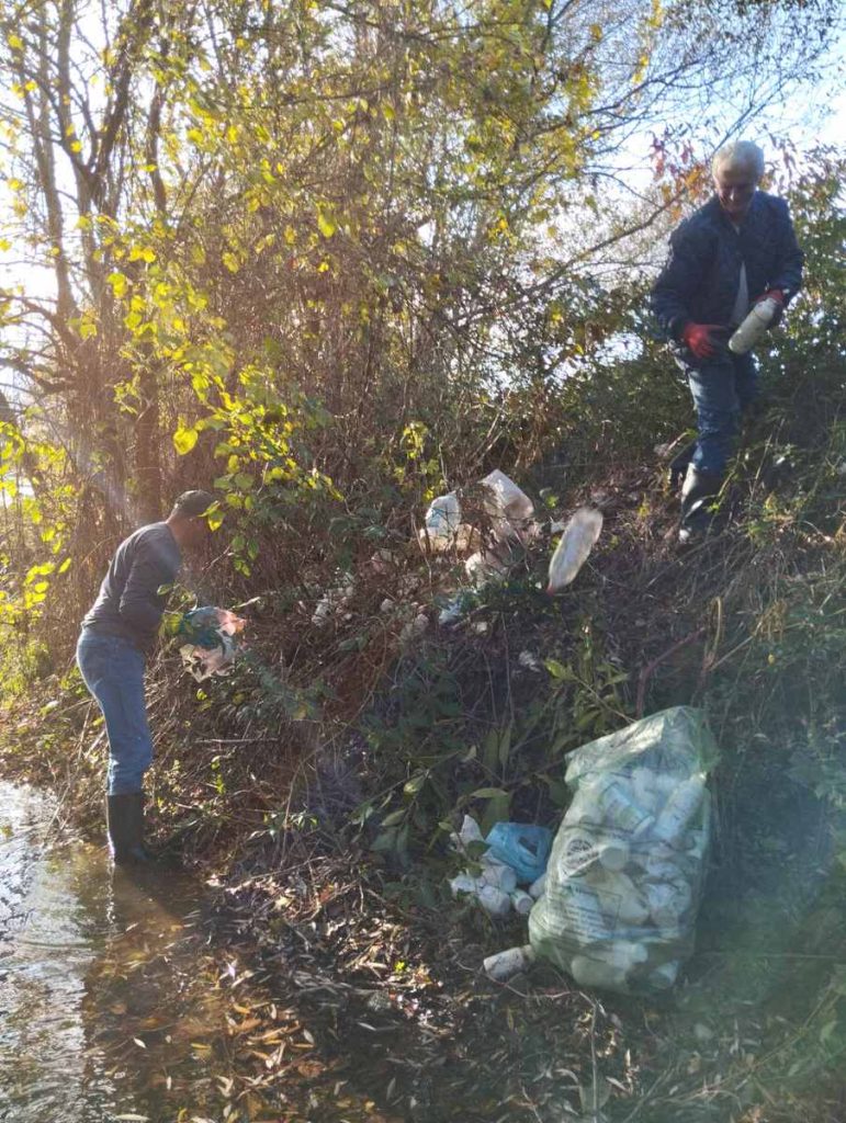 viber slika 2024 11 01 14 14 41 055