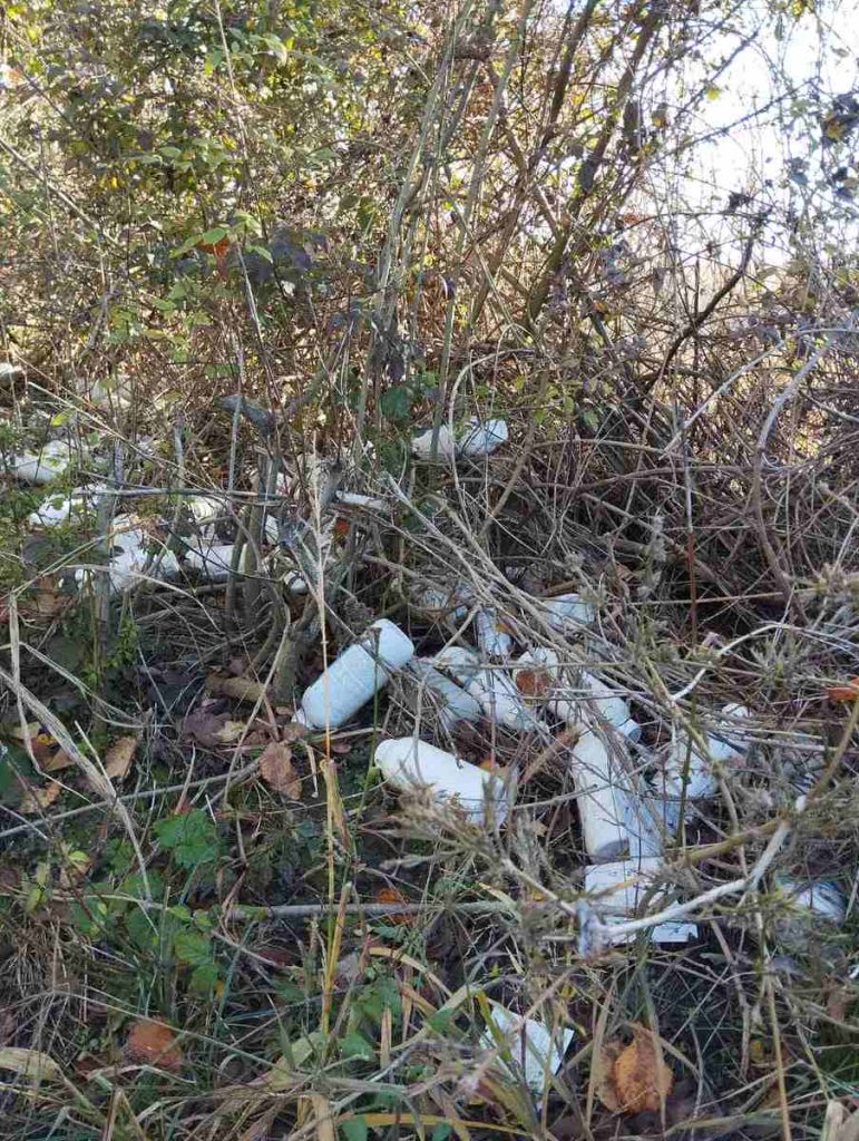 viber slika 2024 11 01 14 14 41 250