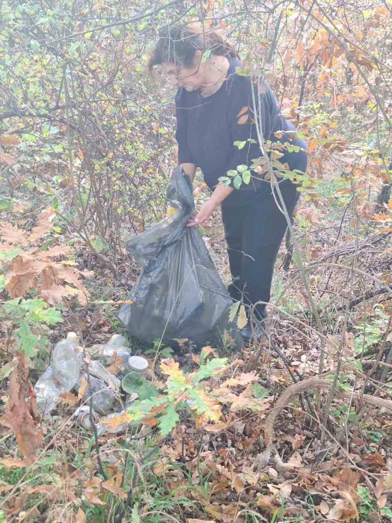 viber slika 2024 11 03 17 32 25 544