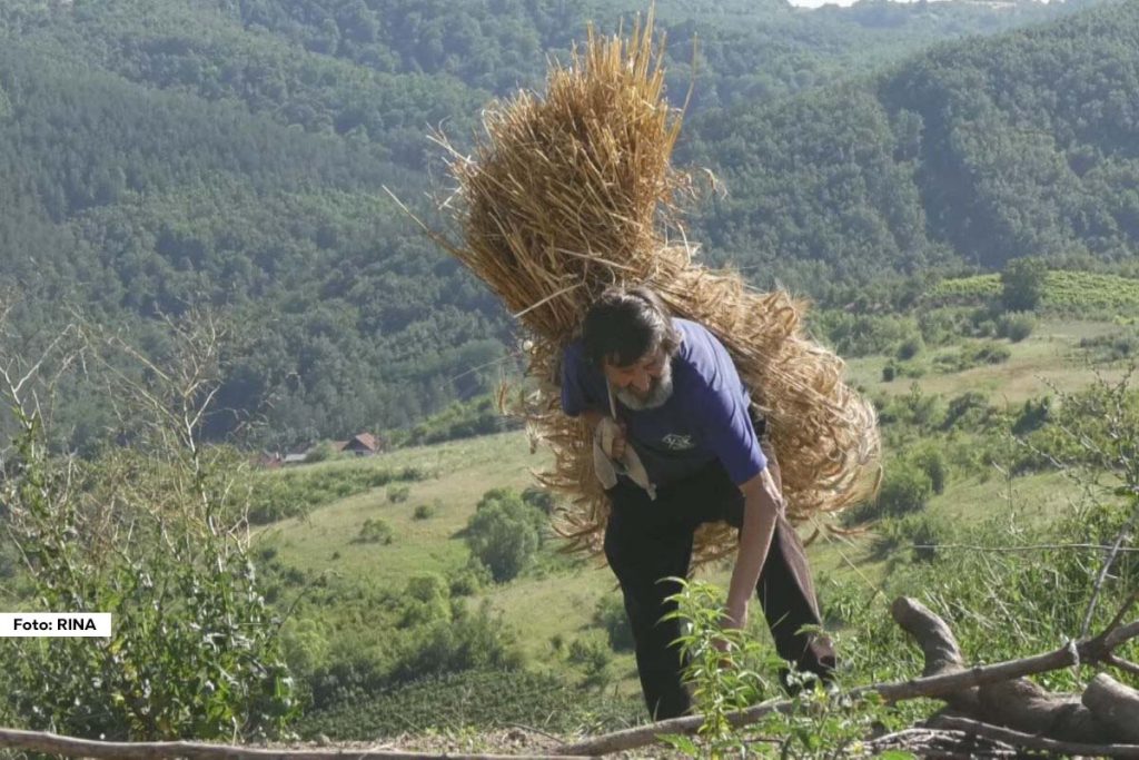 U selu Raklja, nedaleko od Aleksandrova, u domu meštanina Save Poljanskog nalazi se jedinstven umetnički atelje u kojem nastaju unikatna dela od slame.