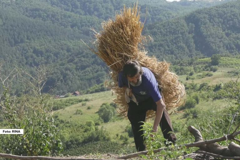U selu Raklja, nedaleko od Aleksandrova, u domu meštanina Save Poljanskog nalazi se jedinstven umetnički atelje u kojem nastaju unikatna dela od slame.