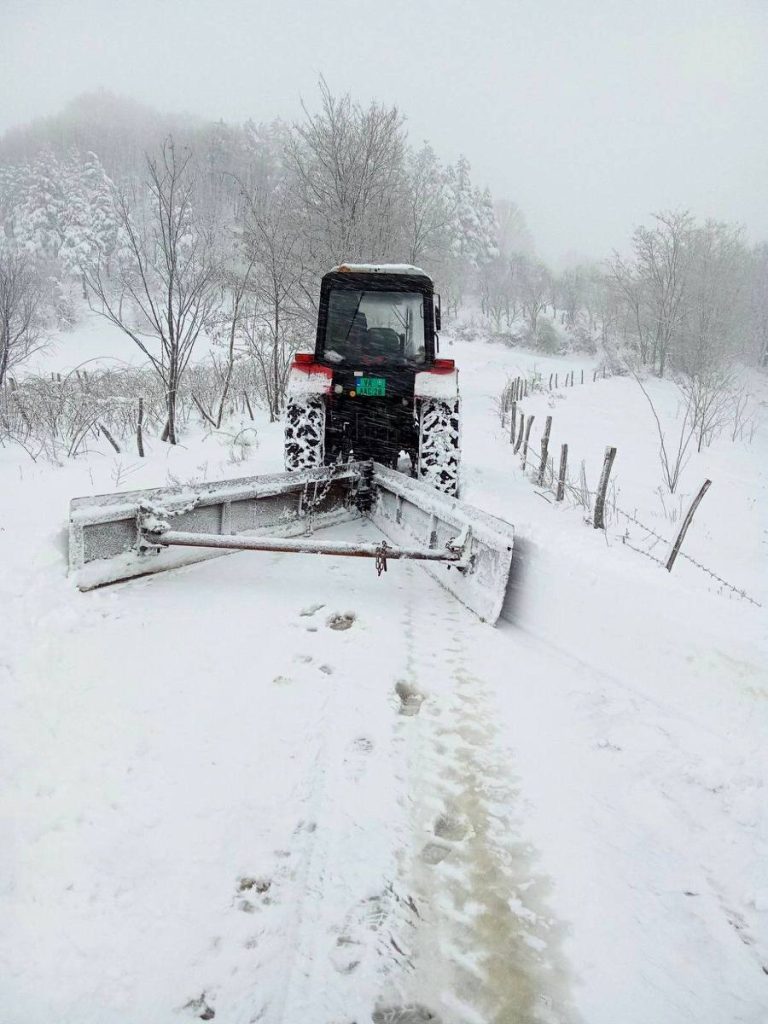 470473265 1149175973254329 5037183599042913378 n