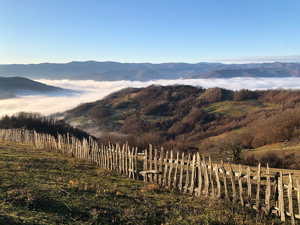 foto Dragan Nedeljkovic