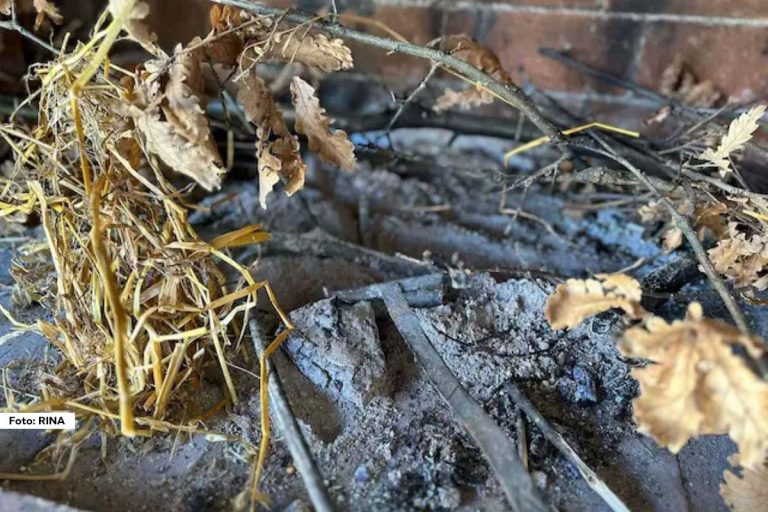 Božićne praznike u Srbiji prate brojni običaji i verovanja, koji su duboko ukorenjeni u narodnoj tradiciji. Posebna pažnja posvećuje se badnjaku, pepelu i slami, a svaki od ovih elemenata ima svoje simbolično značenje i namenu nakon proslave Božića.