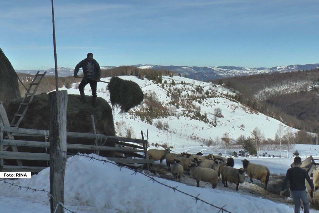U srpskoj tradiciji, narodna meteorologija ima posebno mesto, posebno u selima gde su vremenski uslovi od velikog značaja za poljoprivredu i svakodnevni život. Ova drevna praksa prenošena je s kolena na koleno i obuhvata niz verovanja i običaja koji pomažu u predviđanju vremenskih prilika.