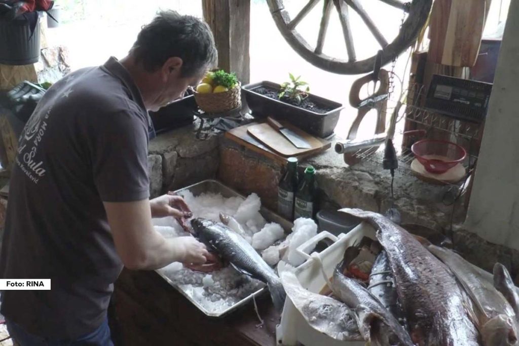 Iako je zapadna Srbija poznata po specijalitetima poput pečenja i komplet lepinje, u selu Rasna kod Požege krije se prava morska oaza. Bivši mornar Šućro Kovačević otvorio je konobu u kojoj majstorski sprema sveže morske plodove koji stižu direktno iz Jadrana. Njegovi specijaliteti postali su toliko traženi da se na večeru kod njega čeka i po deset dana.