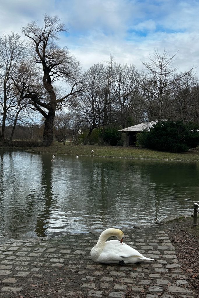 Engleski park Minhen Rivera info 04