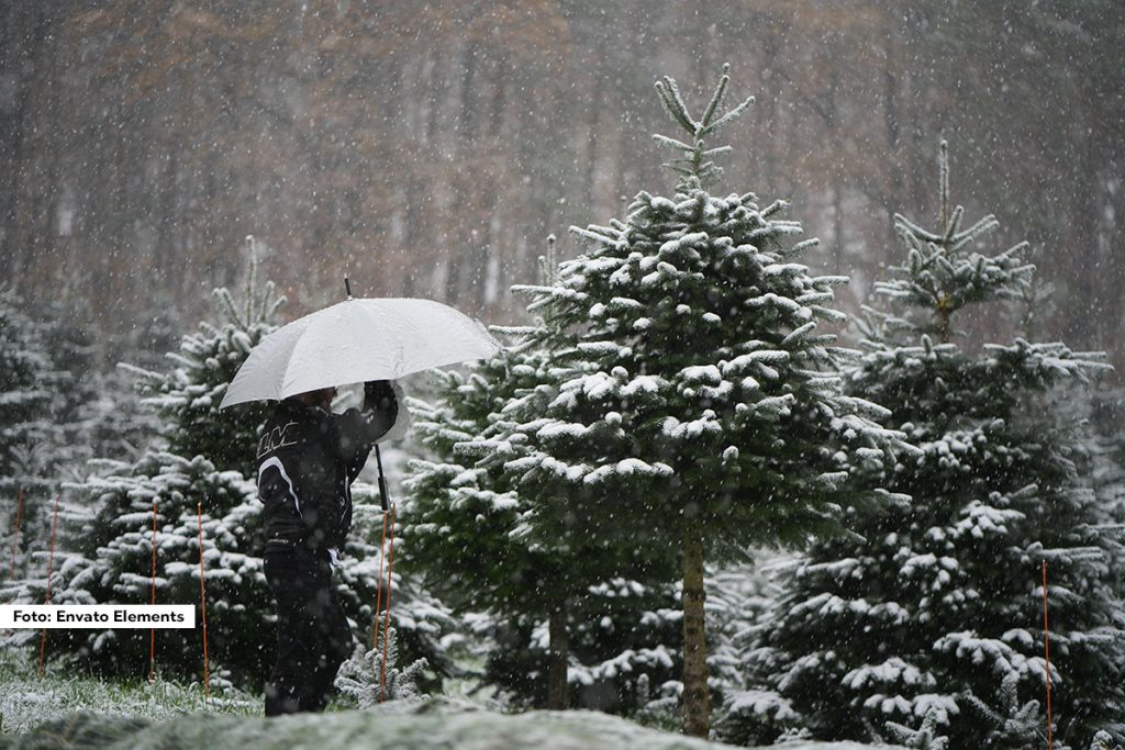 Jaka kiša u planinskim prevojima Zapadne Srbije tokom jutra prešla je u susnežicu i sneg. Sneg danas pada na Tari i nešto manjim intezitetom na Zlatiboru. Saobraćaj se za sada odvija bez većih problema, a nadležne ekipe su u pripravnosti.