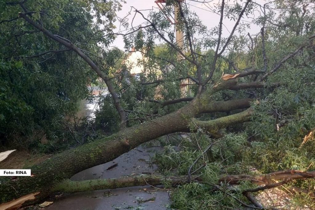 Tokom jutarnjih sati terititoriju grada Čačka zahvatilo je jako olujno nevreme, a jak vetar je na više lokacija čupao drveće iz korena. Na starom putu od Čačka ka Ovčar Banji stablo je palo i blokiran je put.