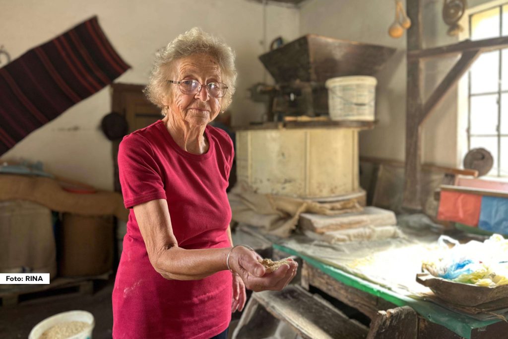 Vodenice potočare, nekada svakodnevnica srpskih sela, danas su prava retkost, ali i dragocena veza sa korenima. Jedna takva, očuvana i u funkciji, nalazi se na Ateničkoj reci u naselju Atenica kod Čačka i pripada porodici Petrović.
