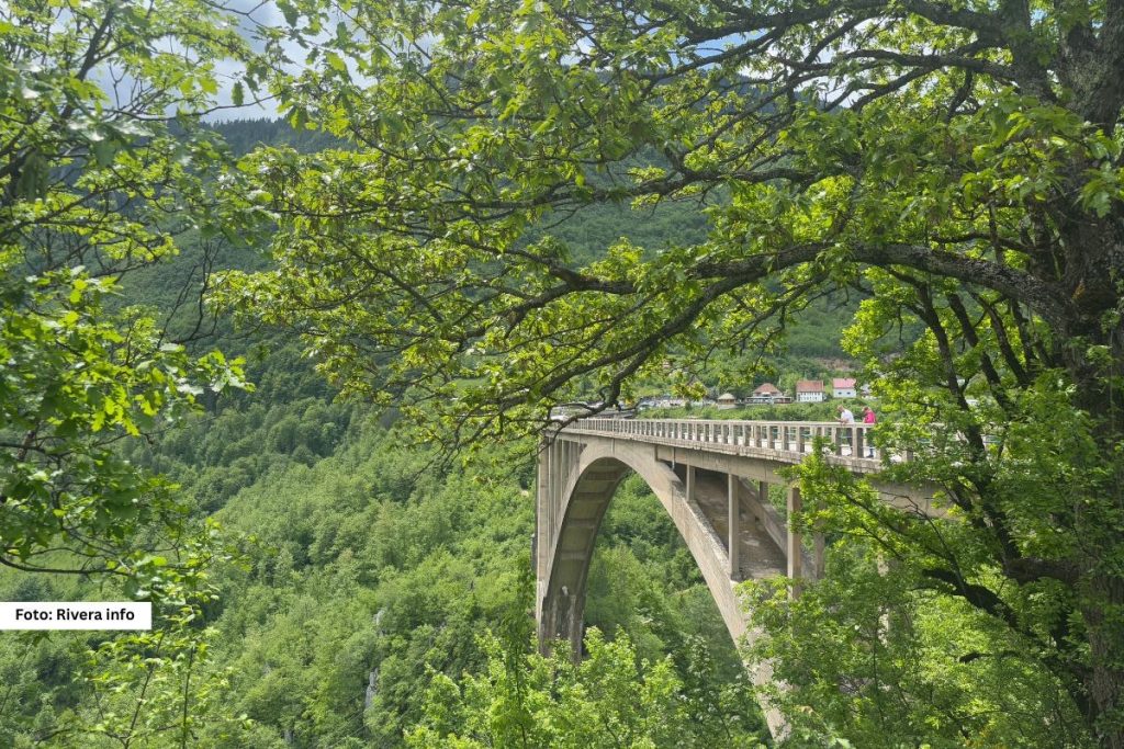 Crna Gora nije samo destinacija za letovanje, sever zemlje krije prava čuda prirode, a jedno od najimpresivnijih je most na Đurđevića Tari, mesto koje spaja arhitekturu, prirodu i adrenalinsku zabavu.