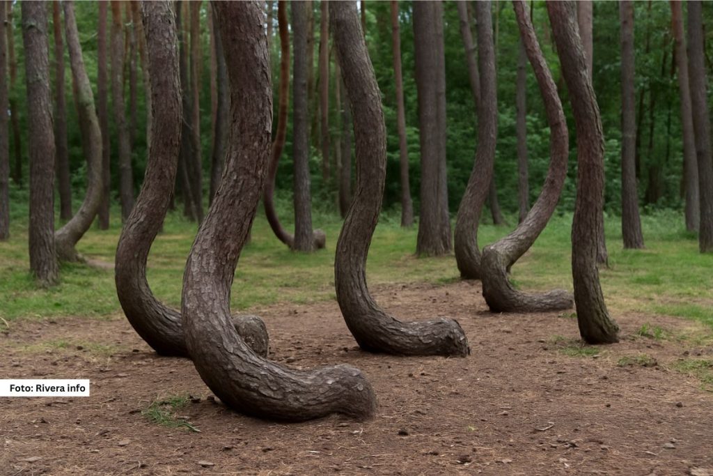 Prirodna misterija koja zbunjuje i naučnike i turiste