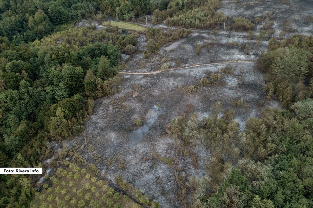 Pripadnici Sektora za vanredne situacije Ministarstva unutrašnjih poslova (MUP) Republike Srbije ugasili su više od 1.400 požara u prethodnih deset dana, saopštilo je Ministarstvo. U tim intervencijama bilo je angažovano čak 4.149 vatrogasaca-spasilaca i 1.749 vozila različitih vrsta.