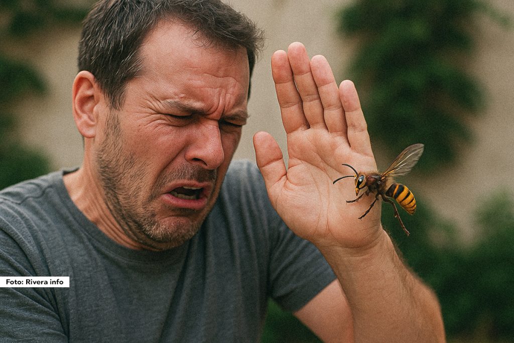 Pre nekoliko dana Srbiju je obišla vest da je žena preminula usled uboda stršljena i to čak nije ni izolovan slučaj, jer godišnje više ljudi nastrada od ujeda ovog insekta, nego od ujeda zmije. U većini slučajeva, ubod stršljena jeste bezopasan i prolazi uz lokalne reakcije – otok, crvenilo, bol. Međutim, postoje situacije u kojima samo jedan ujed može biti koban i može doći do ozbiljnih, pa i fatalnih posledica.