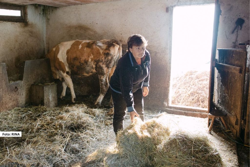 Ljubovija - Slavica iz Gornjih Košalja simbol je vredne žene sa planine, a njen svakodnevni život najbolje oslikava koliko je snage, volje i ljubavi potrebno da bi se opstalo u prelepom, ali surovom selu kod Ljubovije.