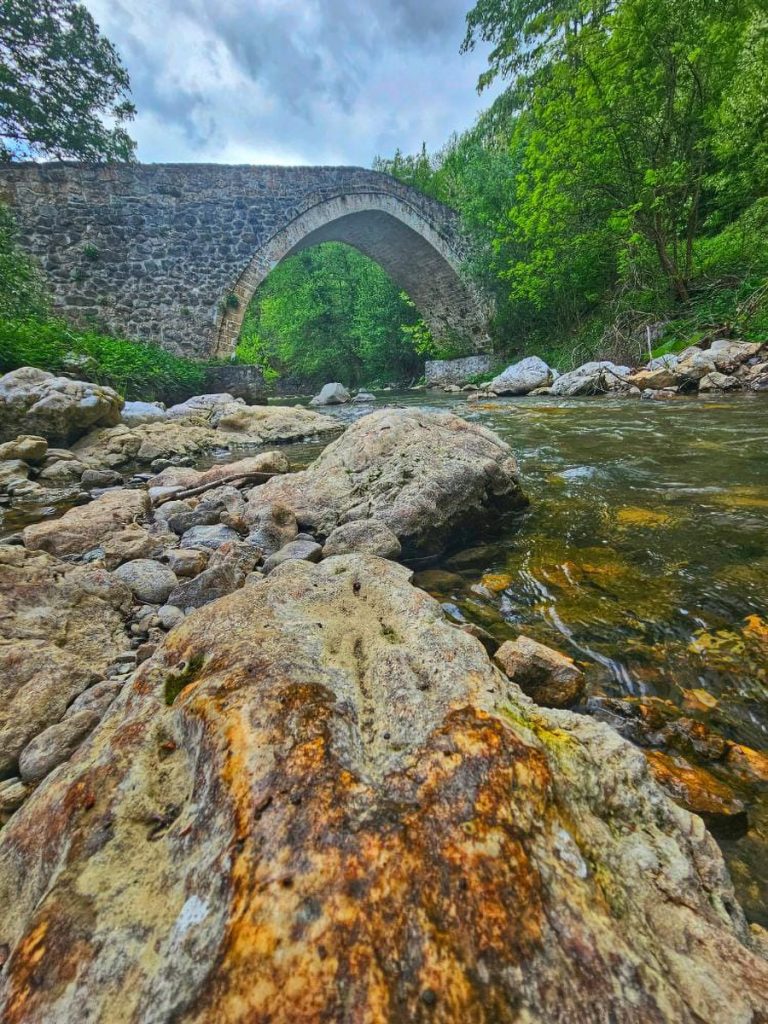 Dragan Murgaski fotografija 2025 trece mesto Rivera info