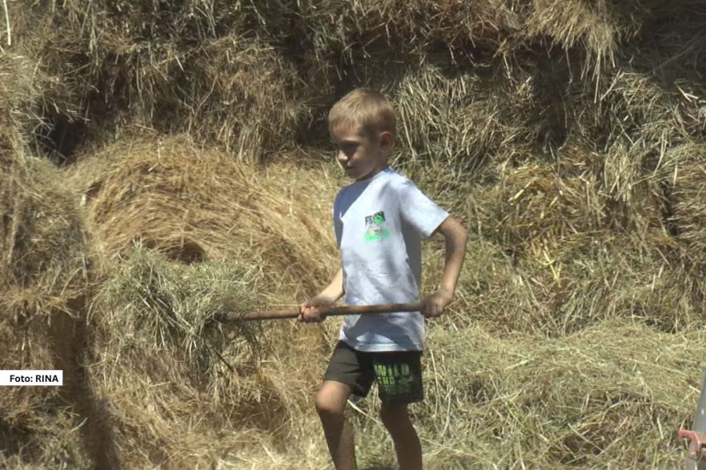 U selu Brančić kod Ljiga, tamo gde se dan meri po suncu, a život po radu, živi Bogdan Nešović, dečak od samo sedam godina koji sve zna o selu i seoskim poslovima i to više nego mnogi tri puta stariji. 