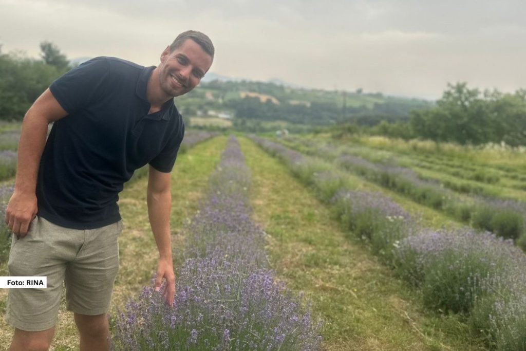 Fascinantna polja lavande obojena u najlepše nijanse ljubičaste boje simbol su Provanse, međutim jedno takvo polje nalazi se i u srcu zapadne Srbije. U čačanskom selu Milićevci, na imanju Bojana Milenkovića ova biljka specifična za Francusku pustila je korenje.