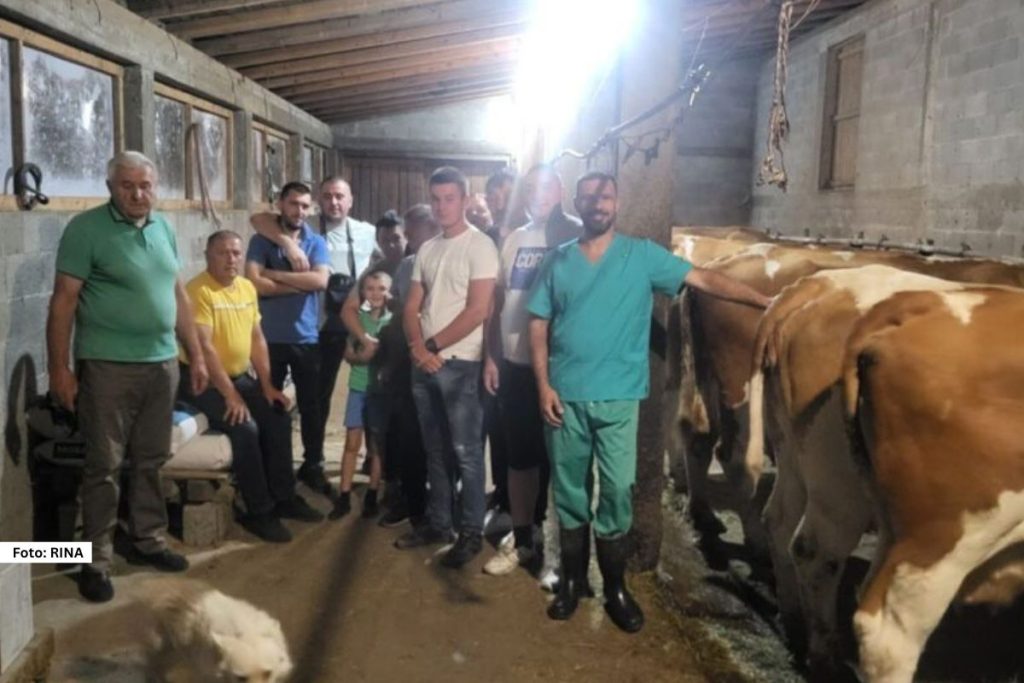 Grupa mladih ljudi nije se libila da zavrne rukave i svoj rad usmeri na štalu i stočarstvo. 