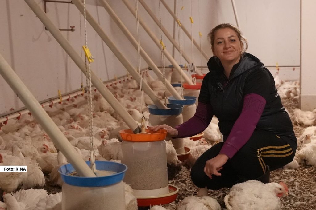 Vredna Dragana Radosavljević iz Kotraže na najbolji način i na svom ličnom primeru pokazuje da žene, ukoliko to dovoljno žele mogu svoj biznis da pokrenu čak i u selu.