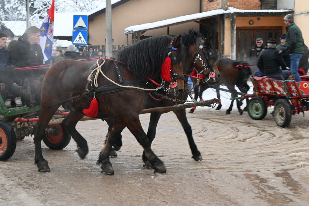 Bozicni konji 2026 1661