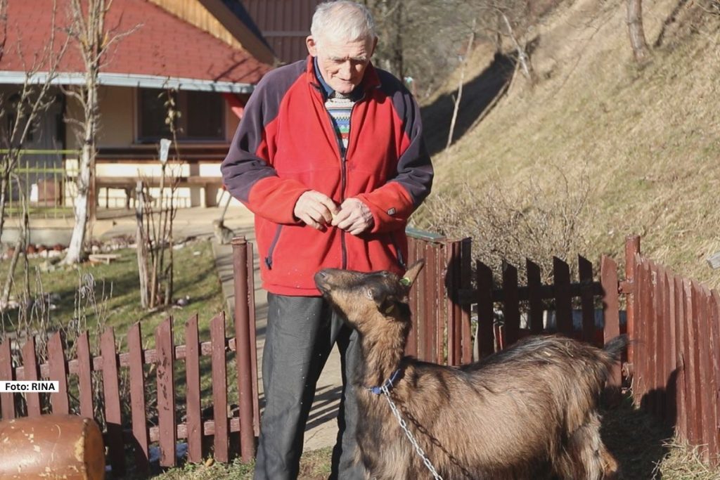 Moderne tehnologije, društvene mreže i influensiri pokorili su svet, a mahom ih koriste mlađe generacije. Međutim, da ni oni malo stariji ne beže od svih benefita novog doba najbolje dokazuje Vidomir Vide Kojadinović sa Mokre Gore, koji je u svojim sedamdesetim prvi put otvorio svoj nalog i za kratko vreme postao omiljen.