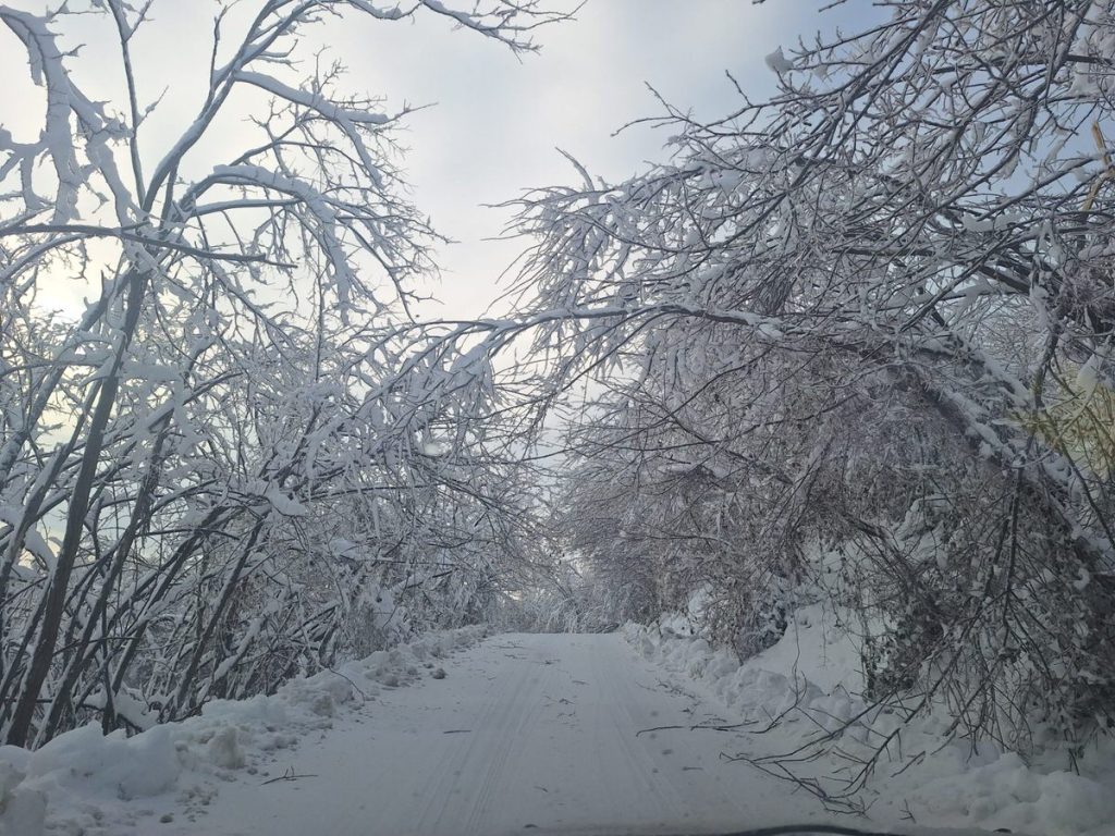 viber slika 2026 01 07 16 28 04 654