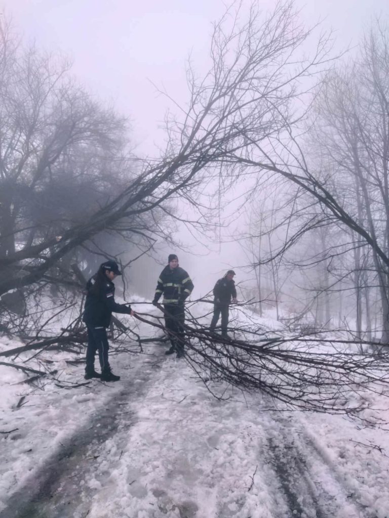 viber slika 2026 01 10 16 08 59 017