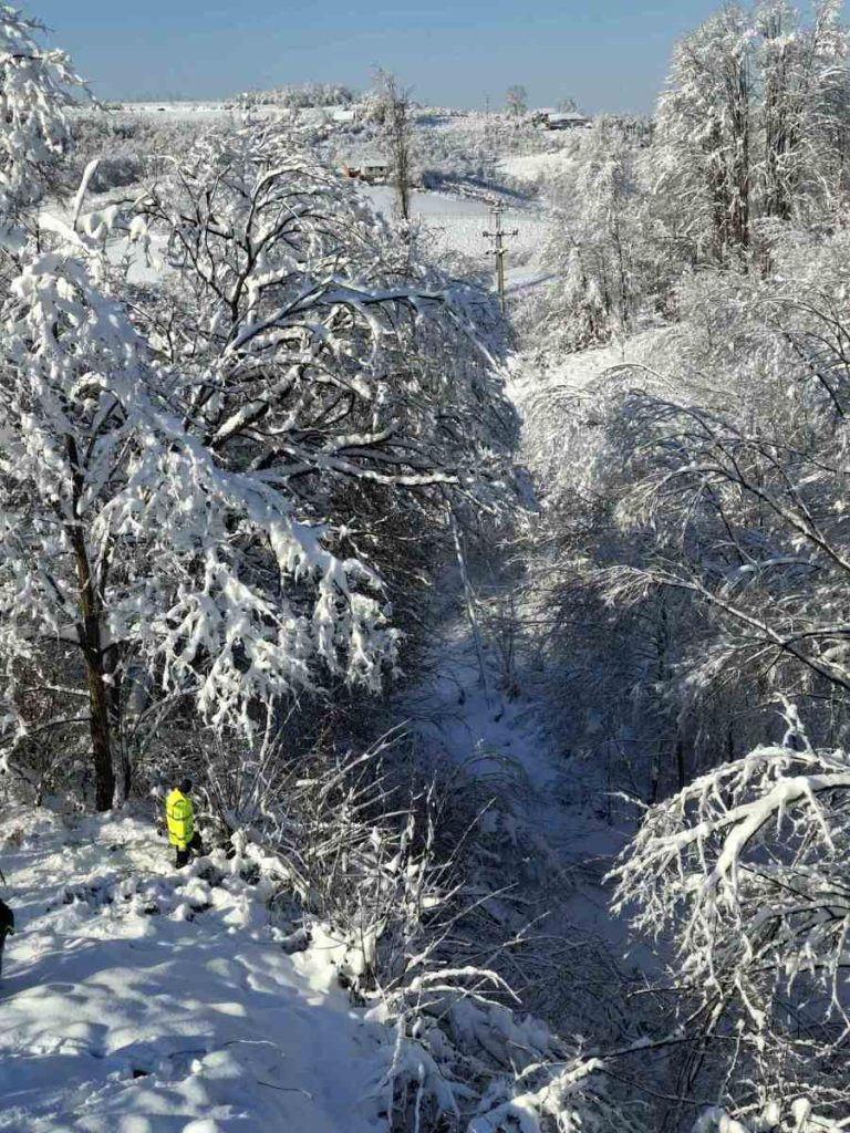 viber slika 2026 01 11 14 02 12 298