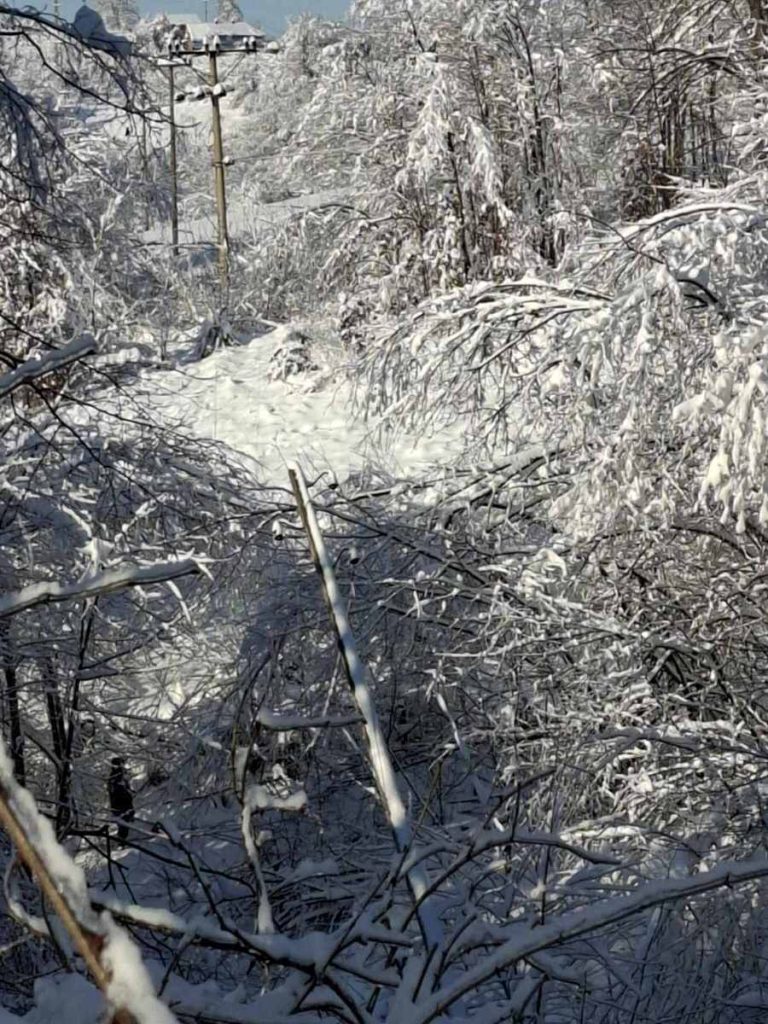 viber slika 2026 01 11 14 02 24 840