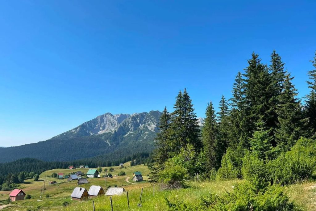 Samešteno na padinama planine Durmitor i na nestvarnih 1.600 metara nadmorske visine, selo Bosača nadomak Žabljaka, zvanično je najviše stalno naseljeno mesto na celom Balkanu. 