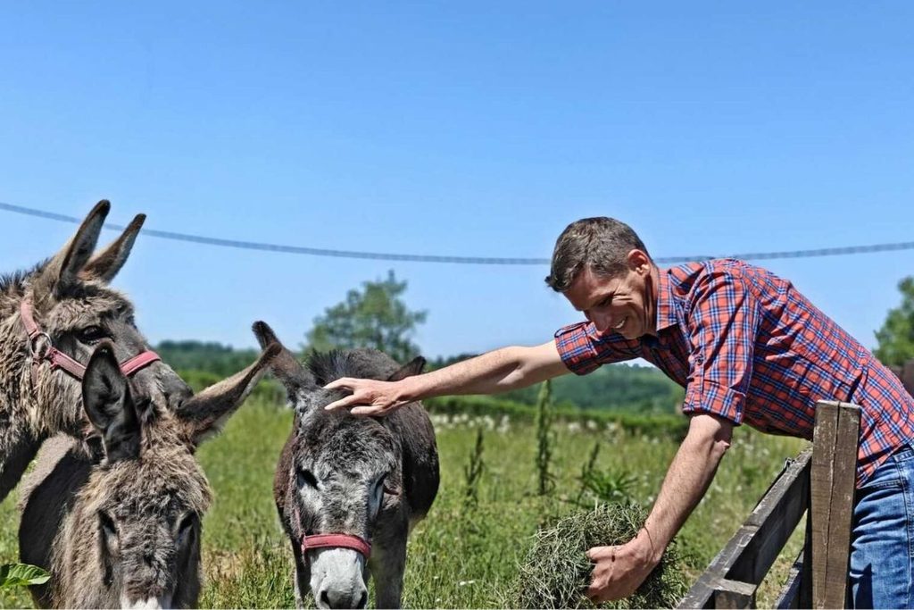 svajcarac i glamping u srbiji