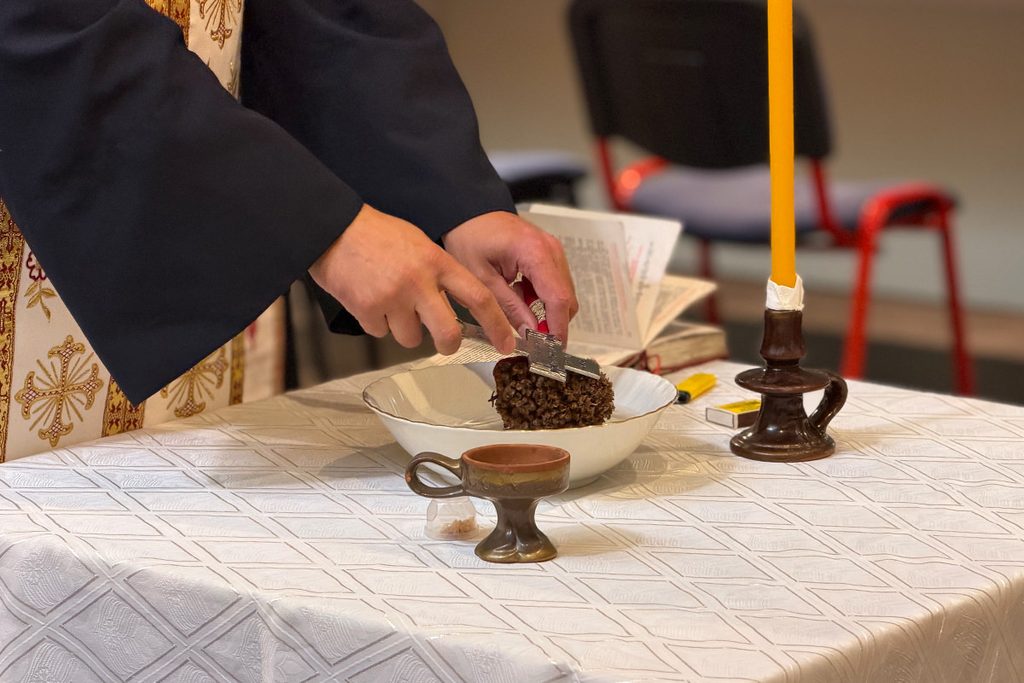 sveti sava ljubovija osnovna skola 08