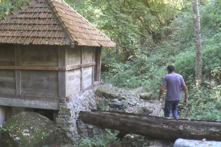 Bajina Bašta - Skrivena od očiju javnosti, ušuškana među drveće tako da sunce do nje jedva dopire, i dalje postoji i vekovima odoleva vodenica najpoznatijeg srpskog vampira Save Savanovića. 